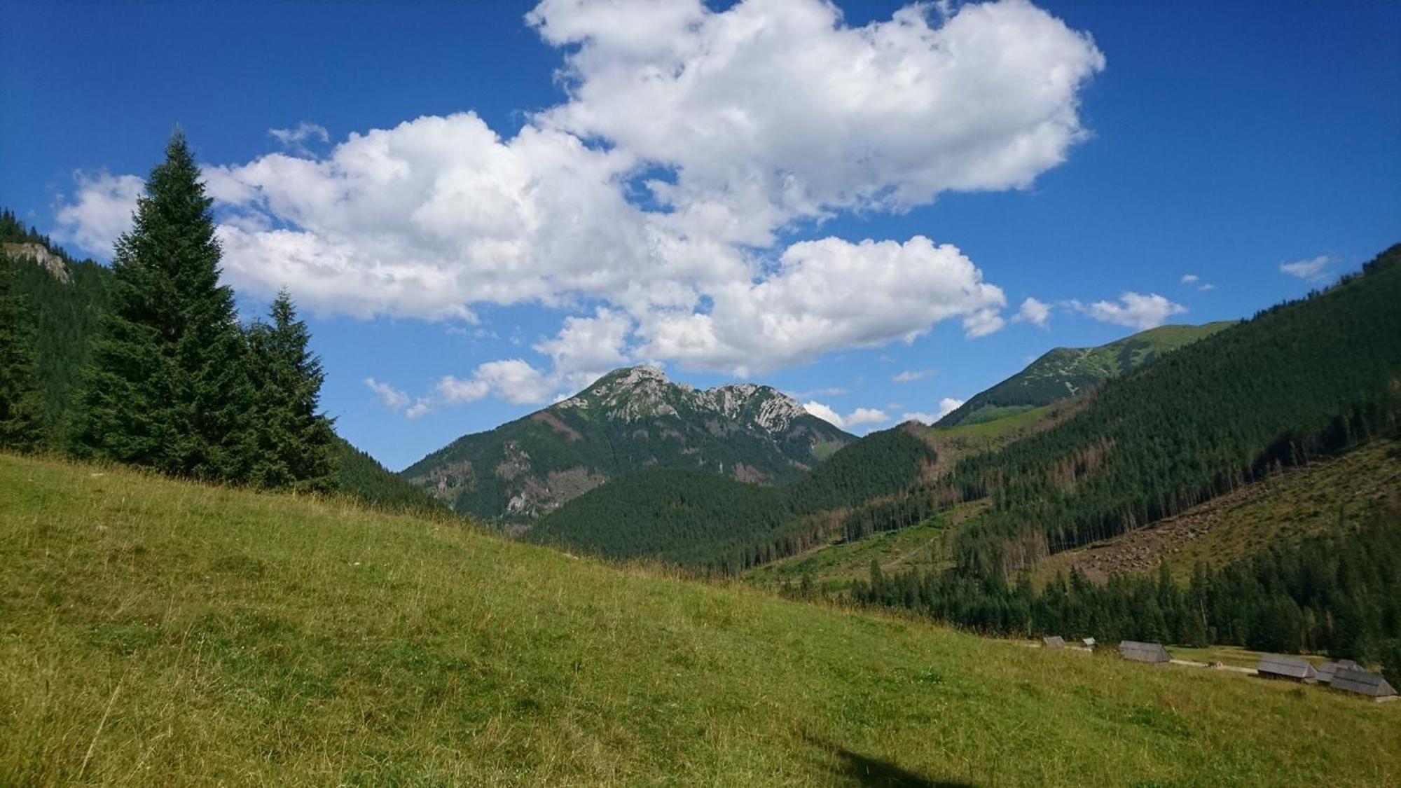 U Suchowiana Zakopane Esterno foto